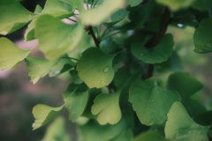 2025_0725_19575100-scaled
