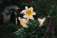 2025_0725_19590900-scaled