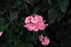2025_0725_19593900-scaled