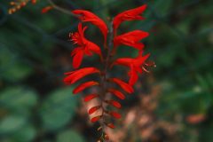 2025_0725_20081400-scaled