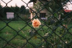 2025_0725_20134700-scaled