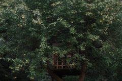 2025_0725_20192100-scaled