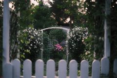 2025_0725_20201700-scaled