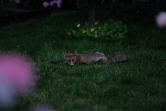2025_0725_20464000-scaled