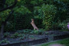 2025_0725_20465800-scaled