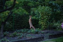 2025_0725_20465900-scaled